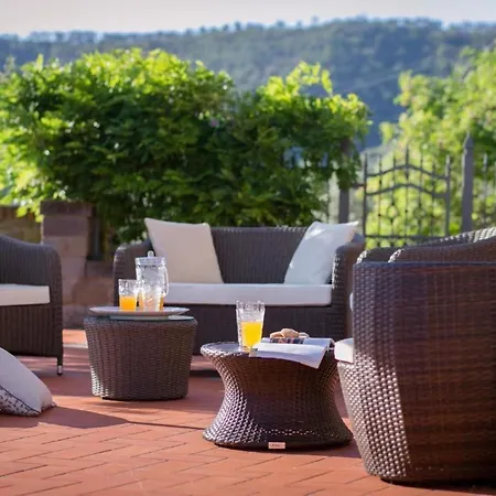 Wunderschoene In Mit Grosser Terrasse By Interhome * Cortona