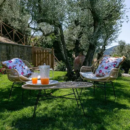 Apartamento Wunderschoene In Mit Grosser Terrasse By Interhome *