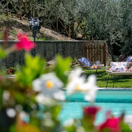 Wunderschoene In Mit Grosser Terrasse By Interhome Cortona